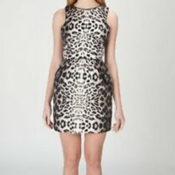 Corey Lynn Calter leopard print cocktail dress! - Picture 5 of 7
